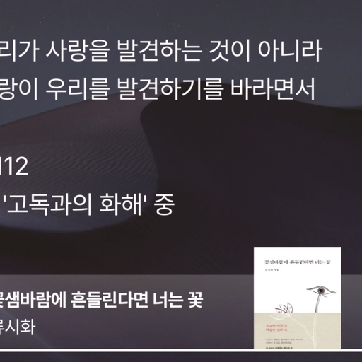 피드 이미지