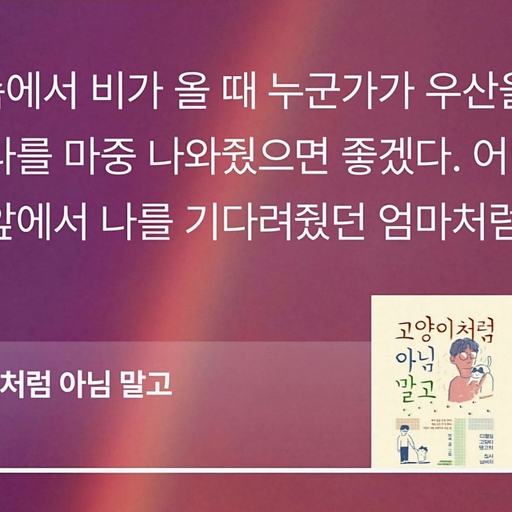 피드 이미지