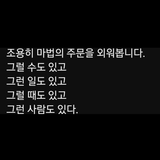 피드 이미지
