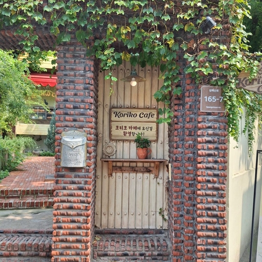 피드 이미지