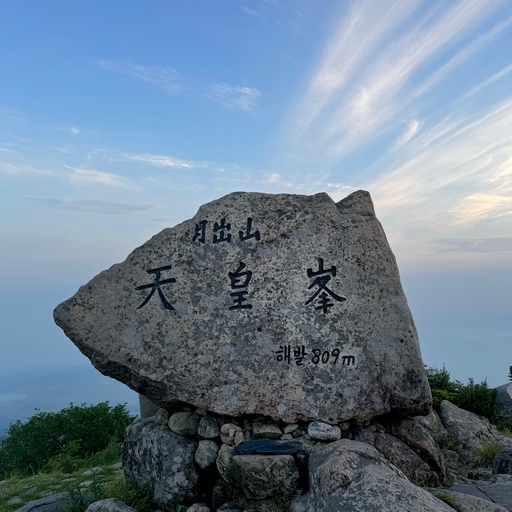 피드 이미지