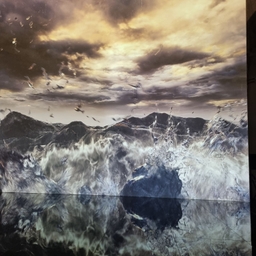 피드에 업로드 된 이미지