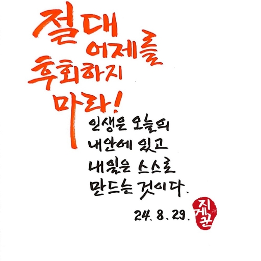 피드 이미지