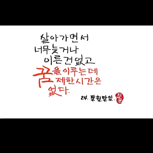 피드 이미지