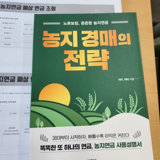 피드 이미지