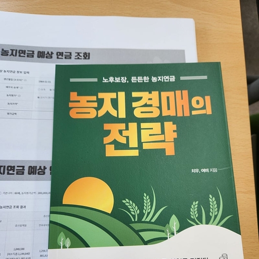 피드 이미지