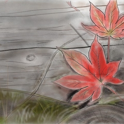 피드에 업로드 된 이미지