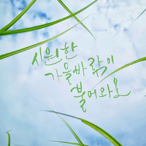 피드 이미지