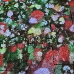 피드에 업로드 된 이미지