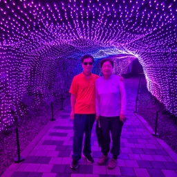 피드에 업로드 된 이미지