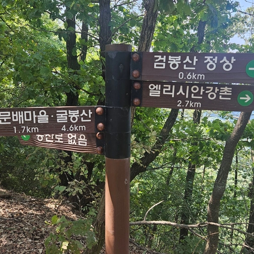 피드 이미지