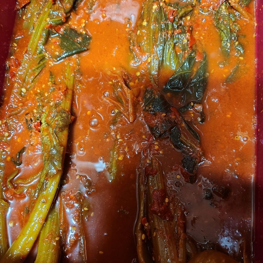 피드 이미지