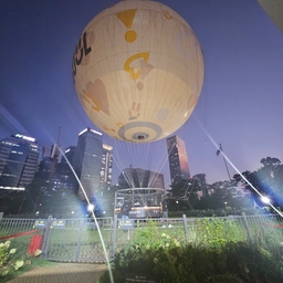 피드에 업로드 된 이미지