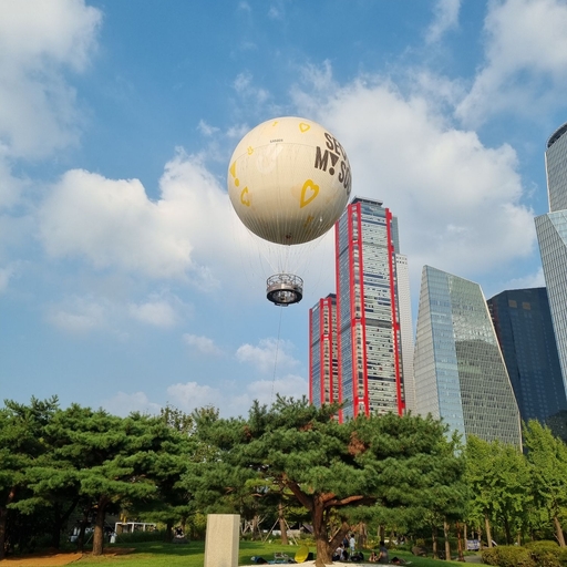 피드 이미지