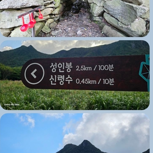 피드 이미지