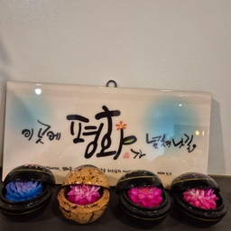 피드에 업로드 된 이미지