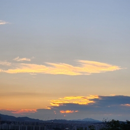 피드에 업로드 된 이미지