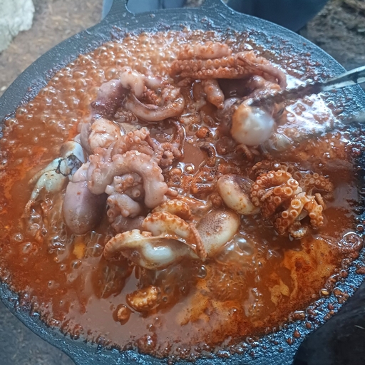 피드 이미지