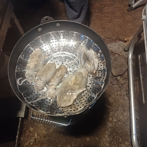 피드 이미지