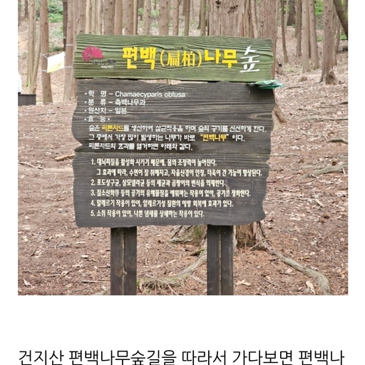 피드 이미지