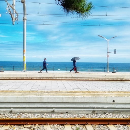 피드 이미지