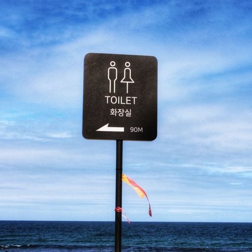 피드 이미지