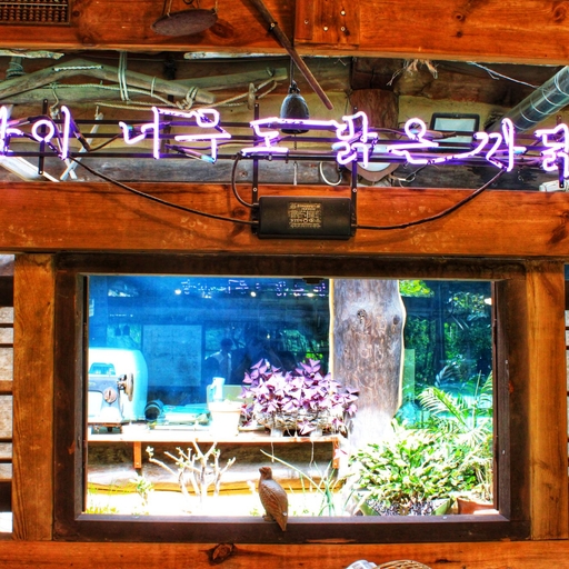 피드 이미지