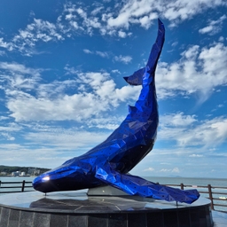 피드에 업로드 된 이미지