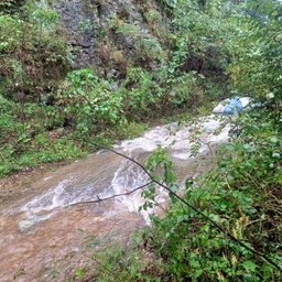피드에 업로드 된 이미지