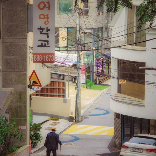 피드 이미지
