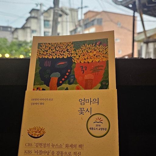 피드 이미지
