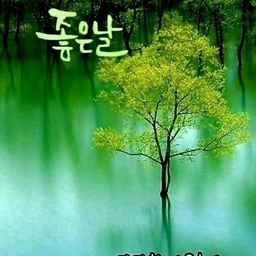 피드에 업로드 된 이미지