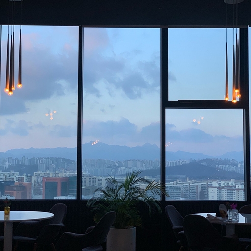 피드 이미지