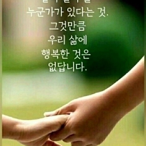 피드 이미지