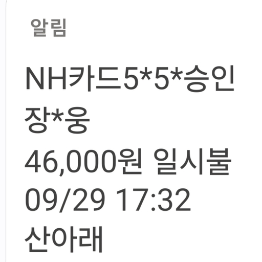 피드 이미지
