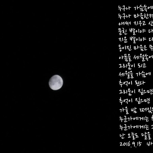 피드 이미지