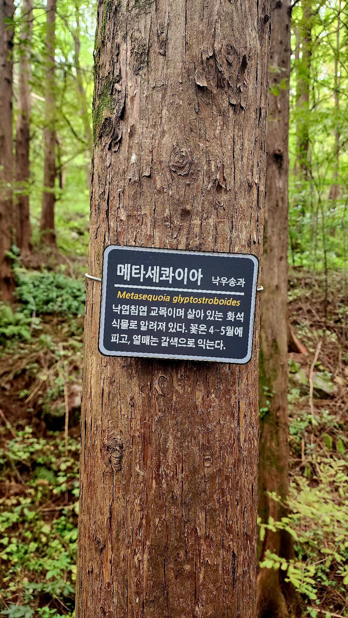 피드에 업로드 된 이미지
