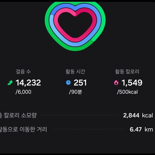 피드 이미지