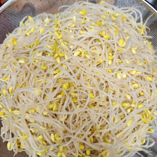 피드 이미지