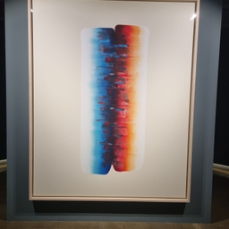 피드에 업로드 된 이미지