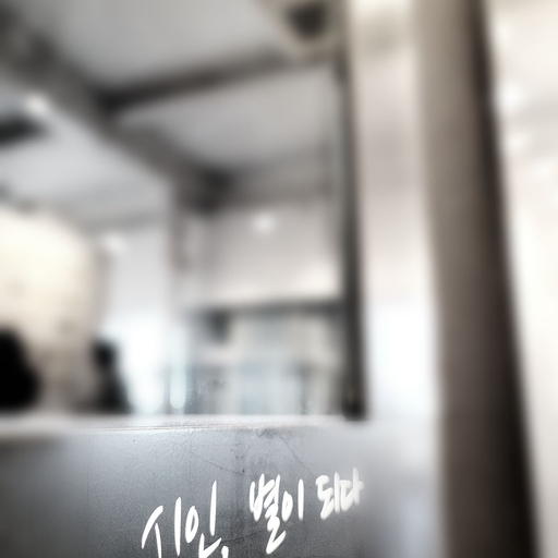 피드 이미지
