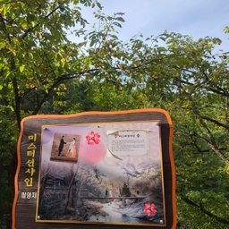 피드에 업로드 된 이미지