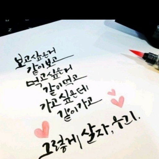 피드 이미지