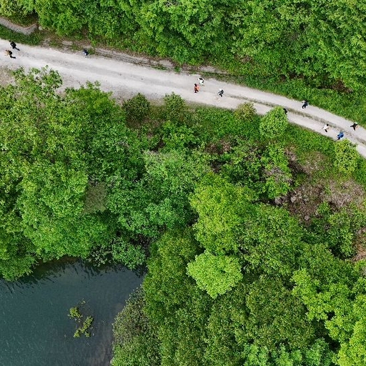 모임 대표 이미지