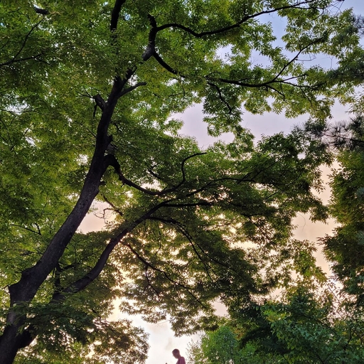 피드 이미지