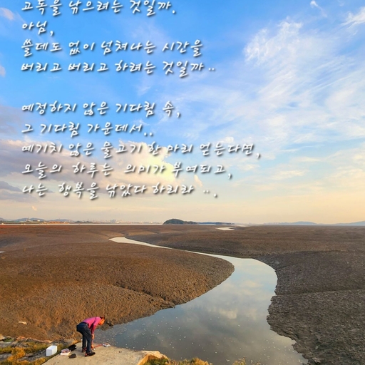 피드 이미지