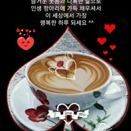 피드에 업로드 된 이미지