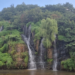 피드에 업로드 된 이미지