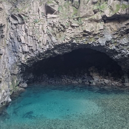 피드에 업로드 된 이미지