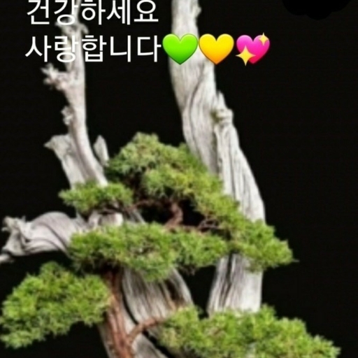 모임 대표 이미지